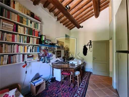  - foto 36