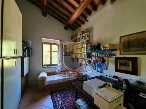  - foto 37