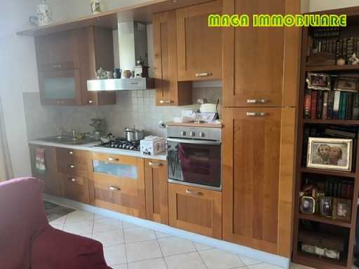 - foto 4