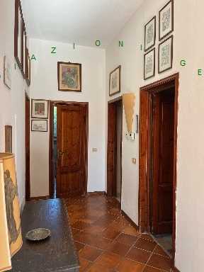  - foto 14