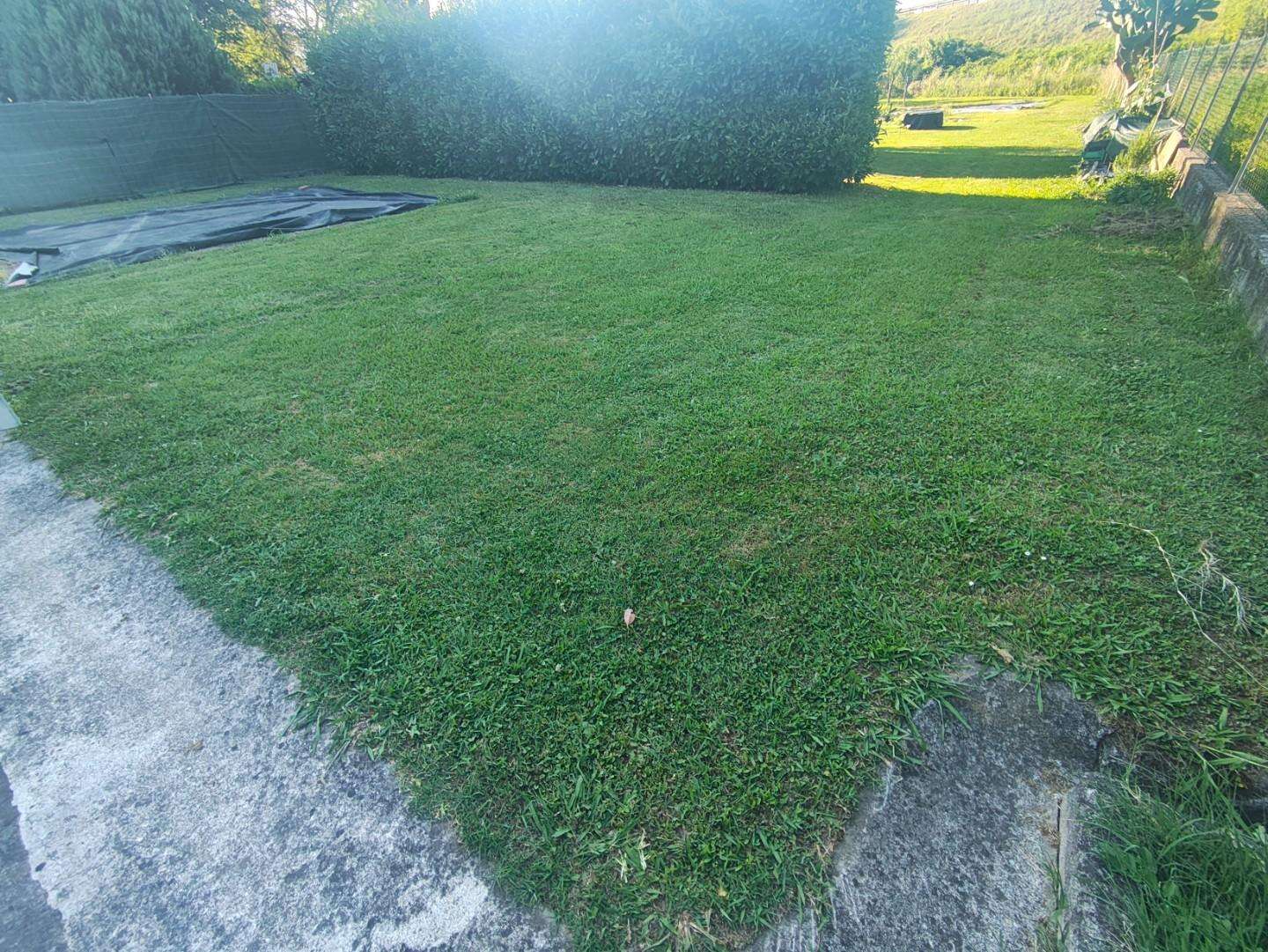  - foto 39