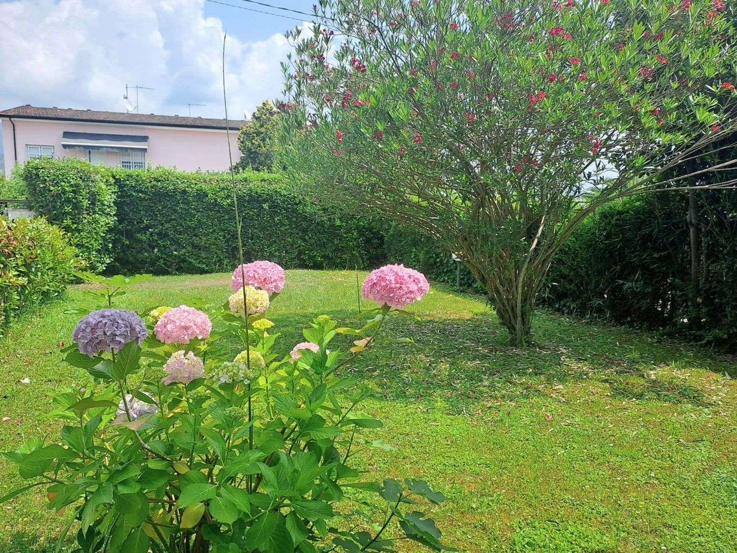  - foto 24