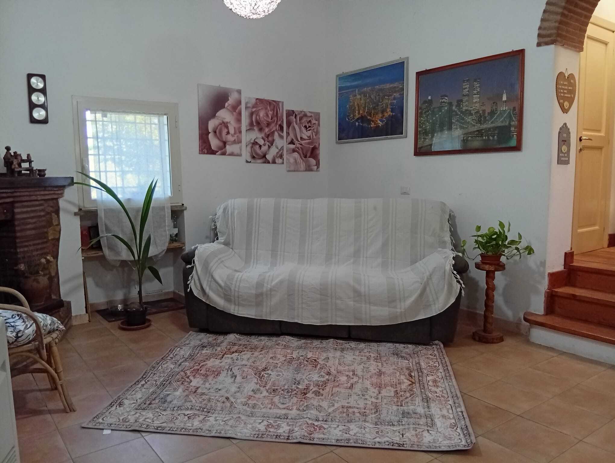  - foto 11