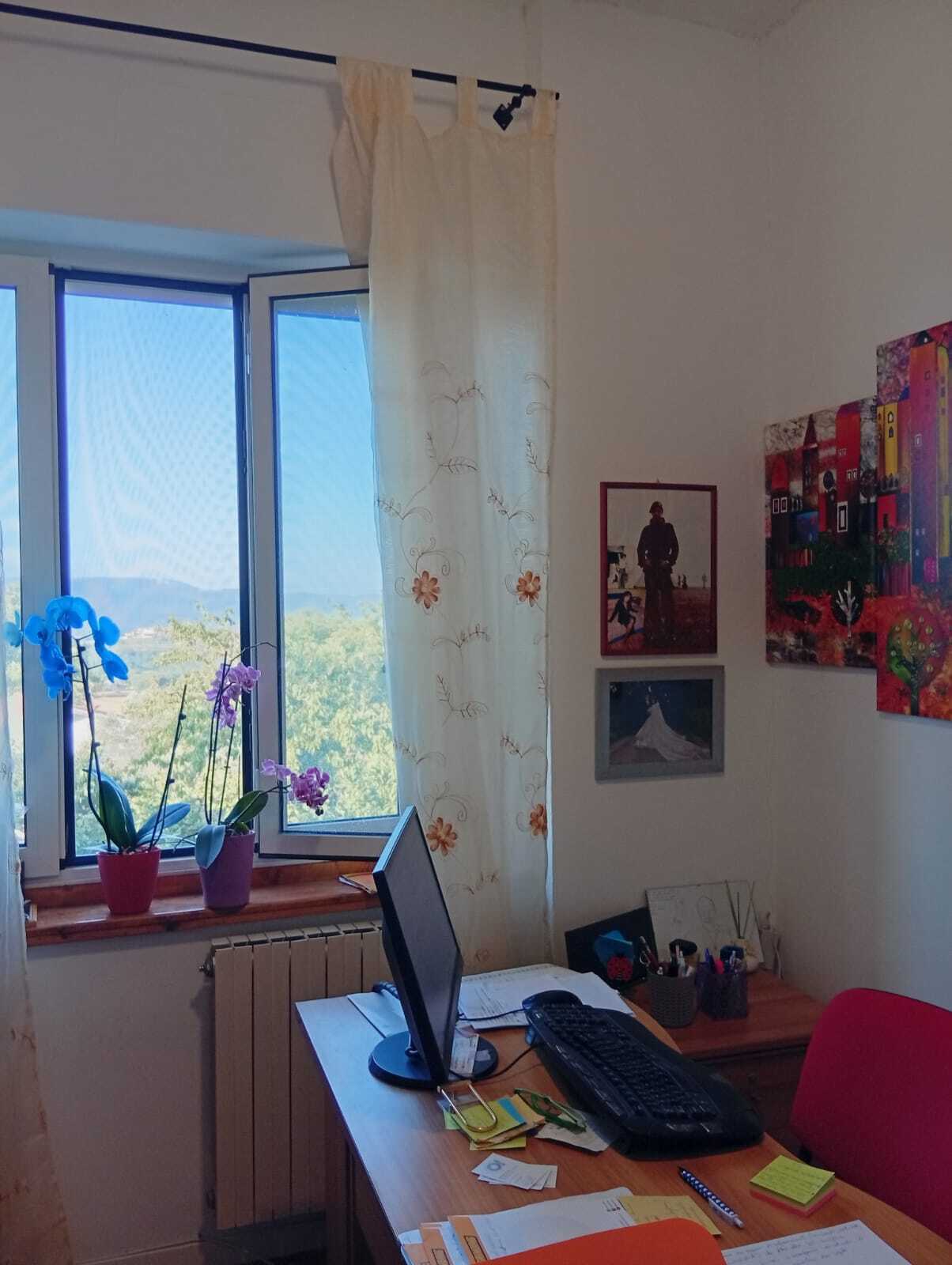  - foto 25
