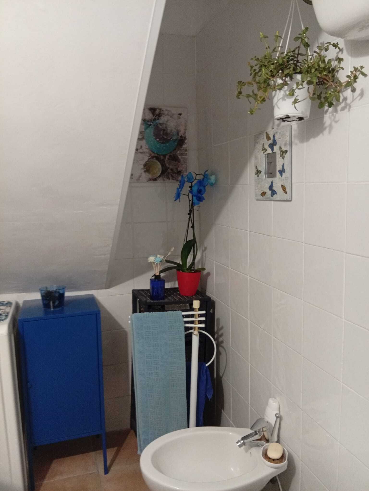  - foto 35