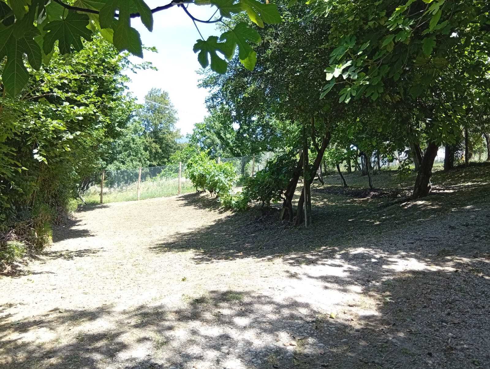  - foto 44
