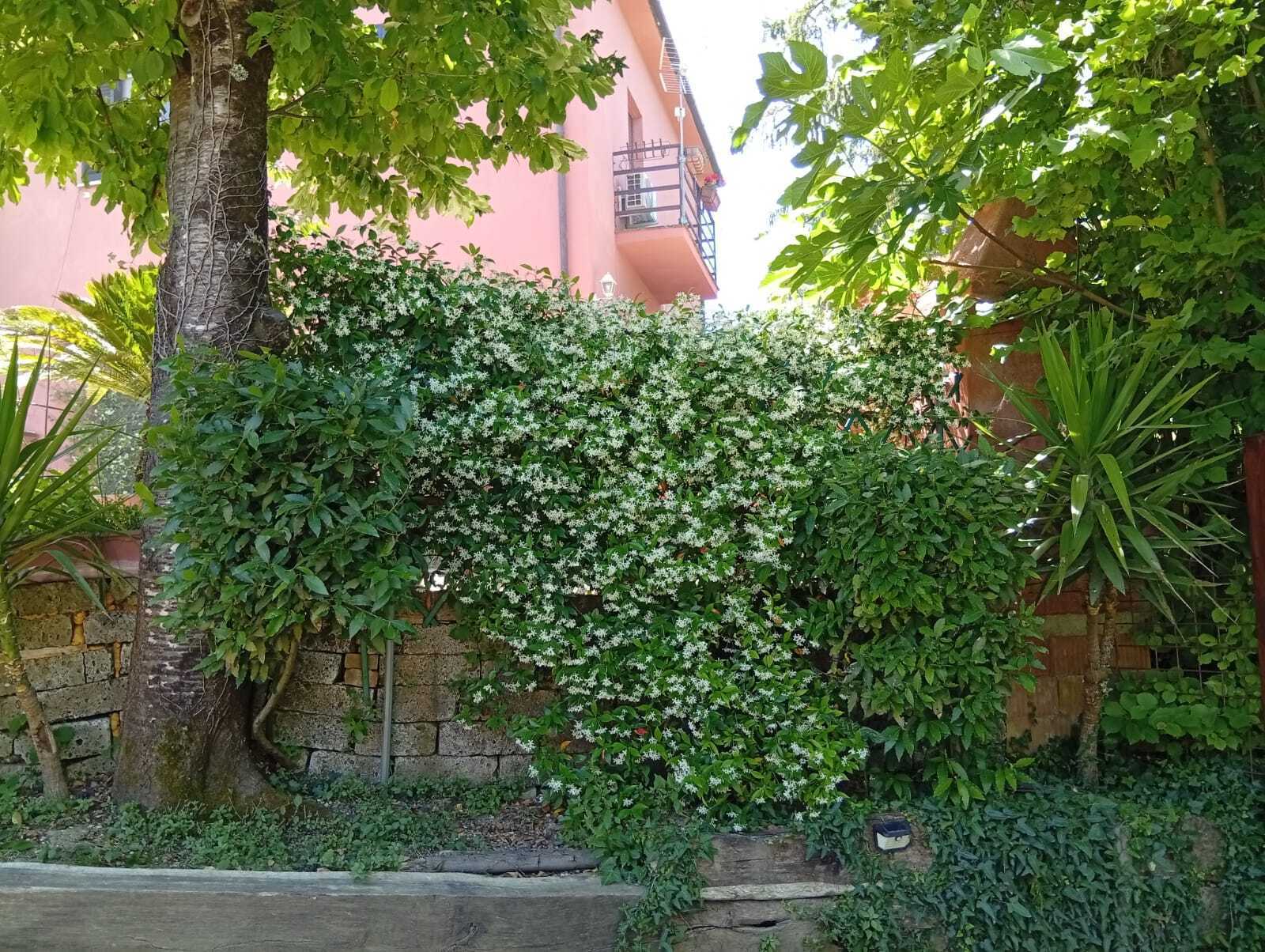  - foto 46