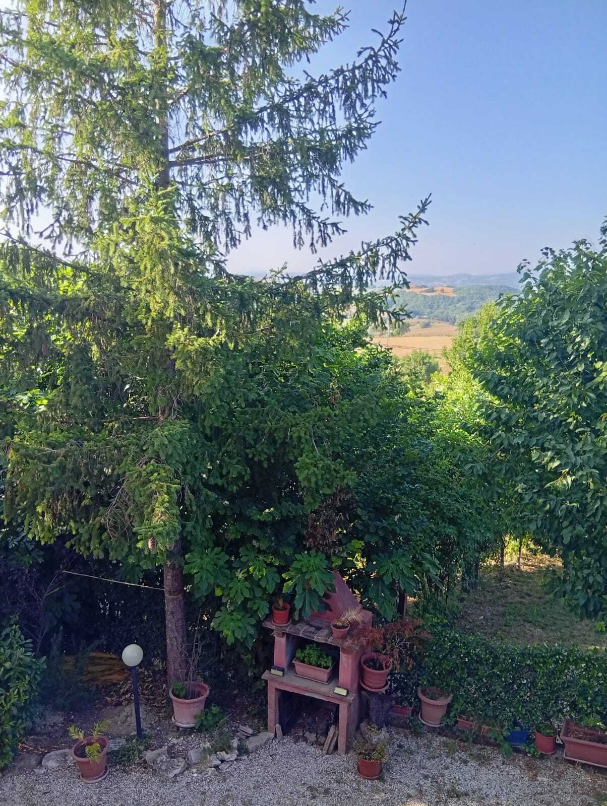  - foto 48