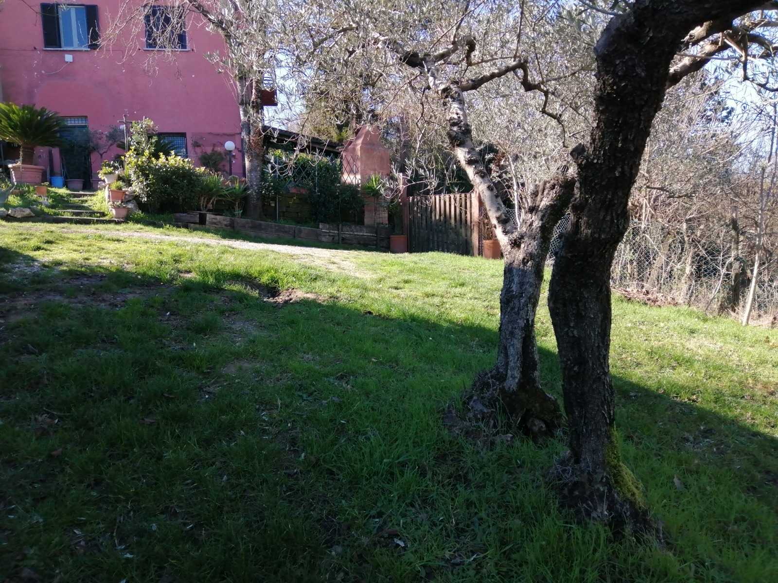  - foto 6