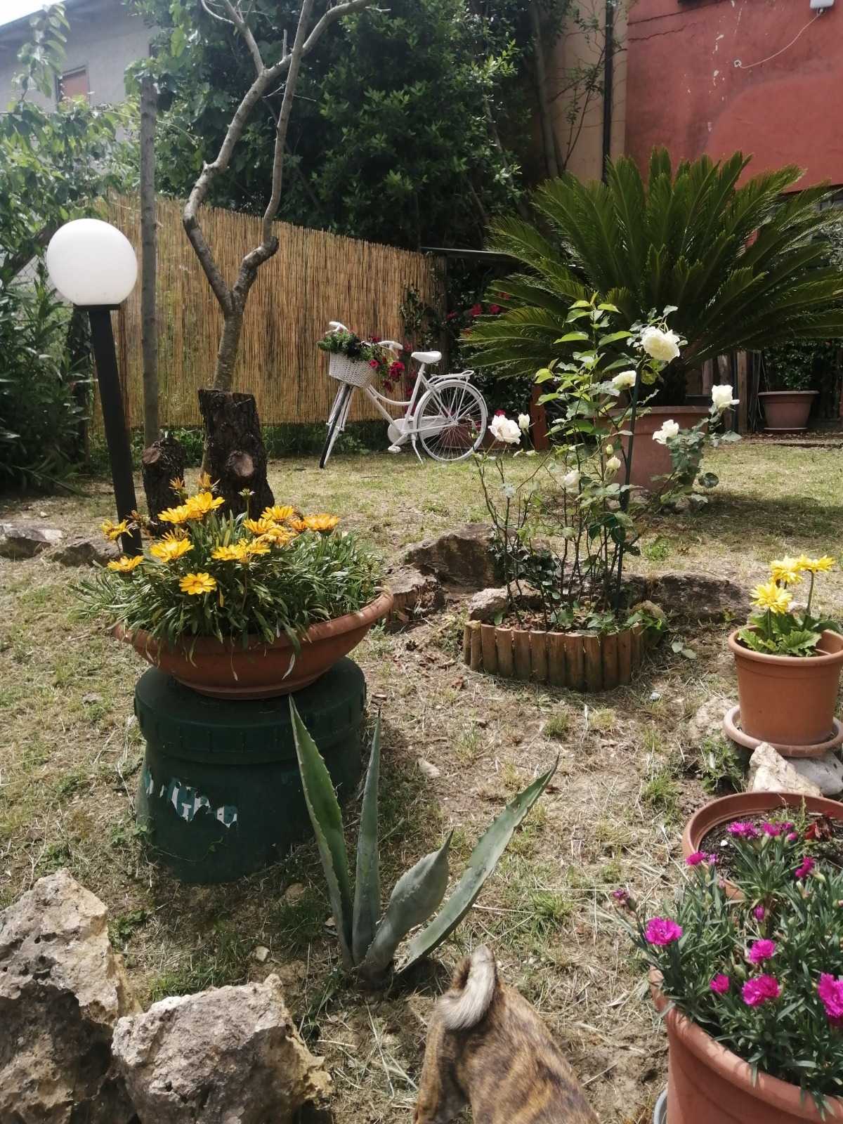 - foto 7