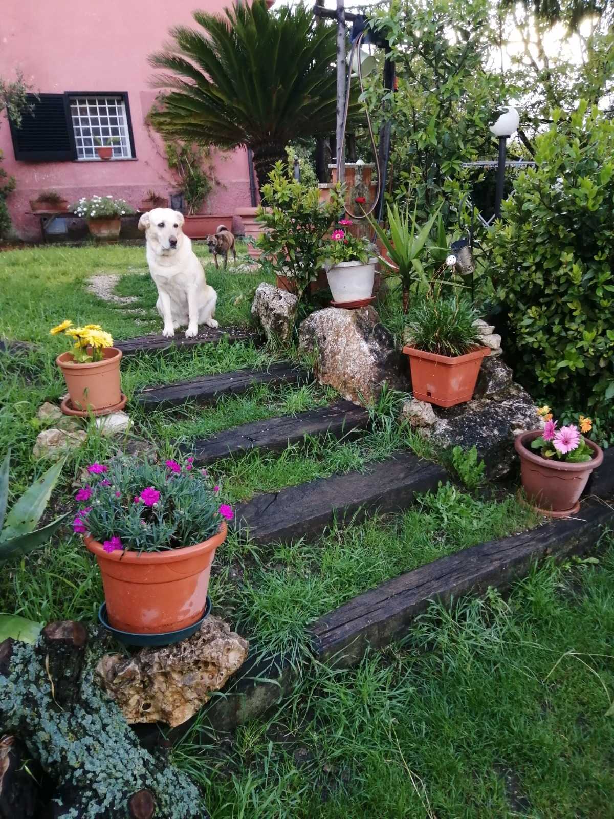  - foto 8