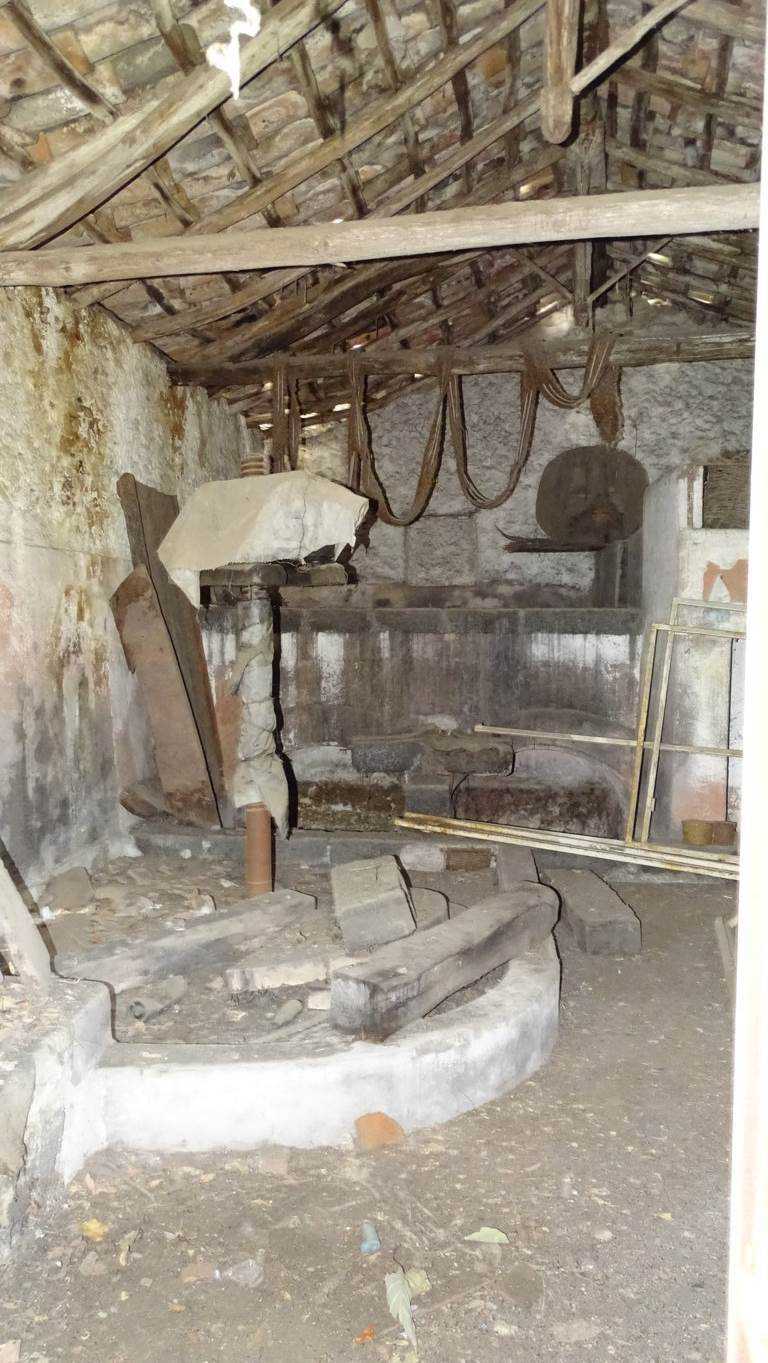  - foto 7