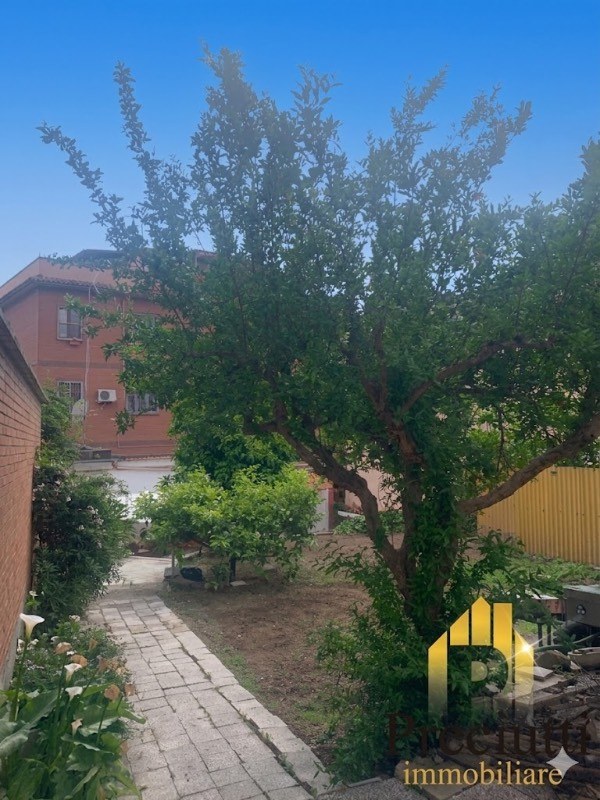  - foto 32
