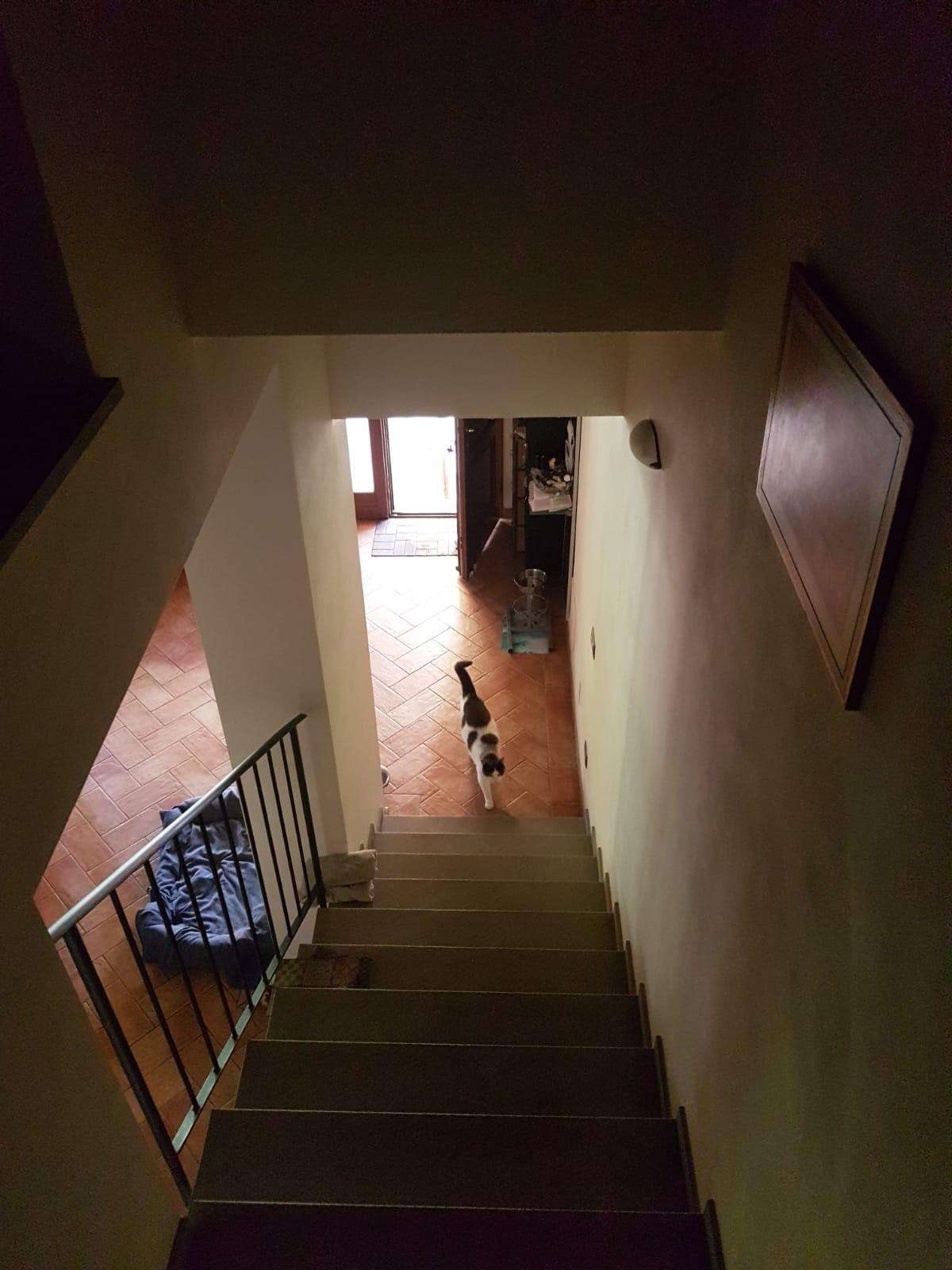  - foto 25