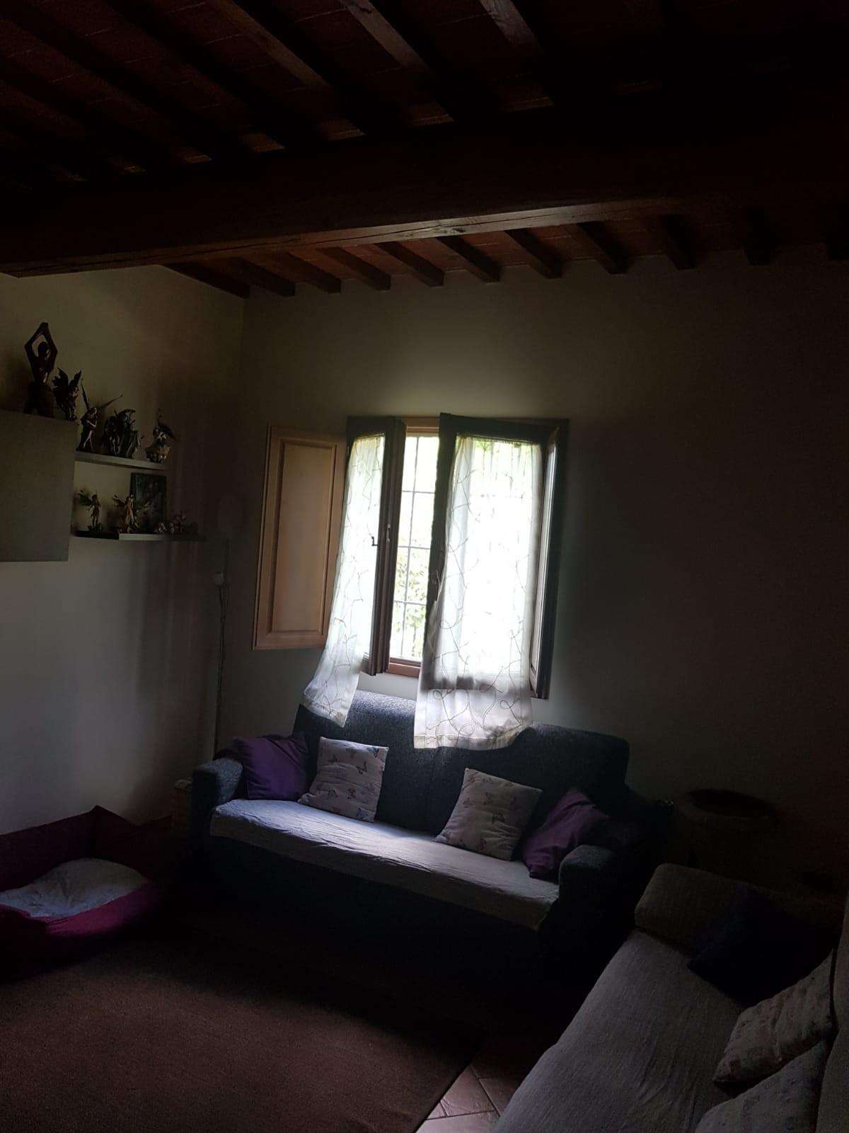  - foto 26