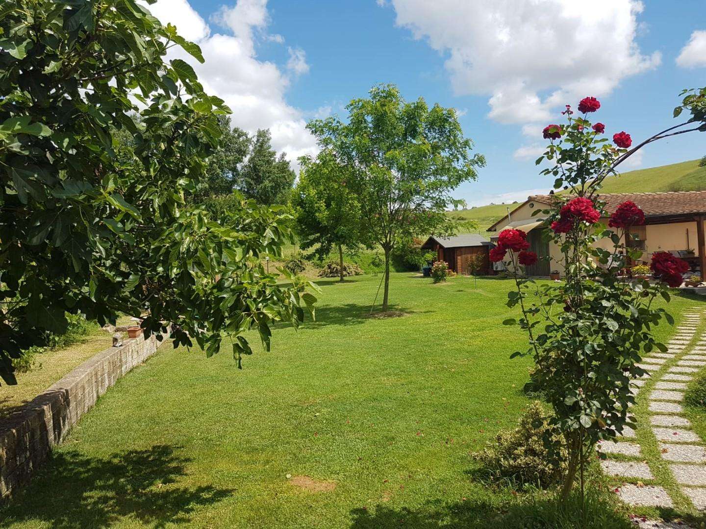  - foto 30