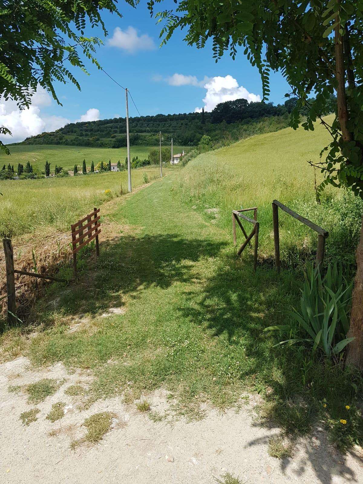  - foto 31
