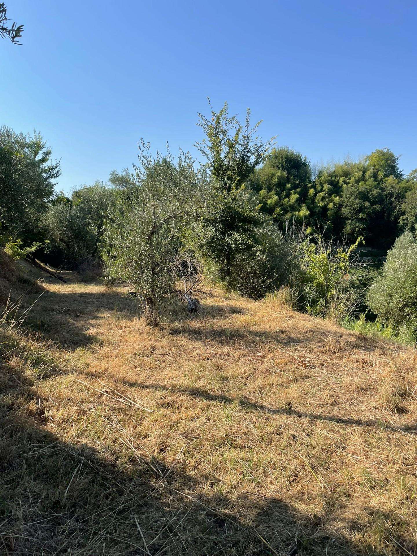  - foto 2
