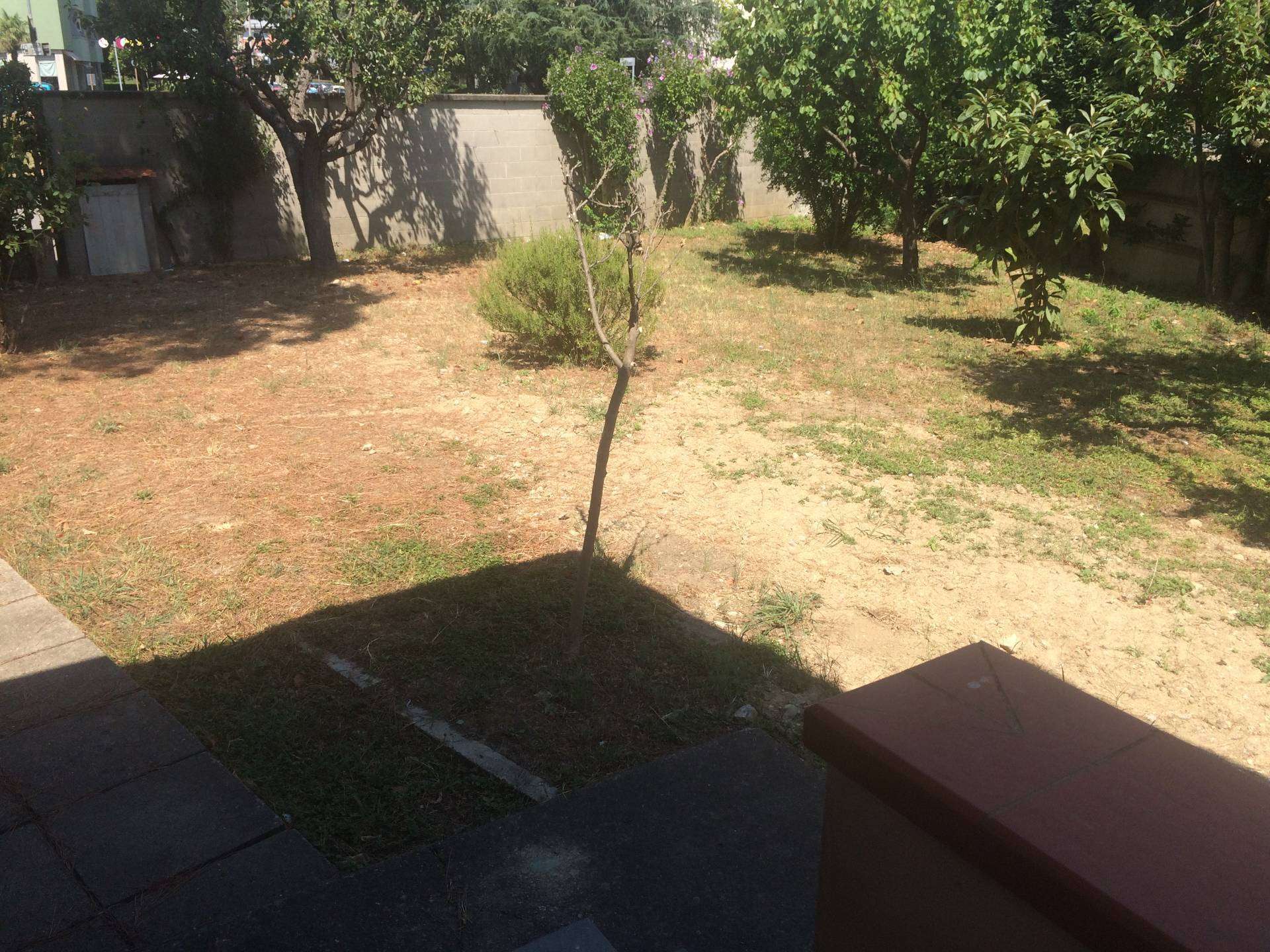  - foto 12