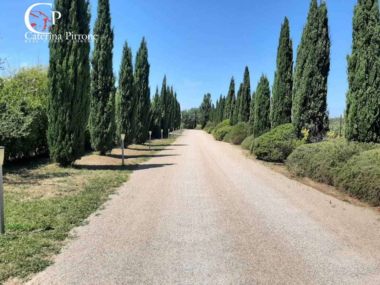  - foto 59
