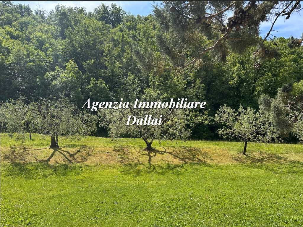  - foto 4