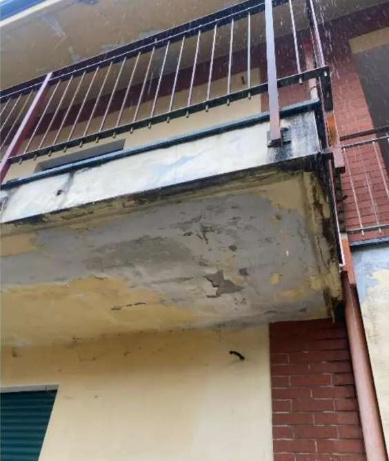  - foto 31