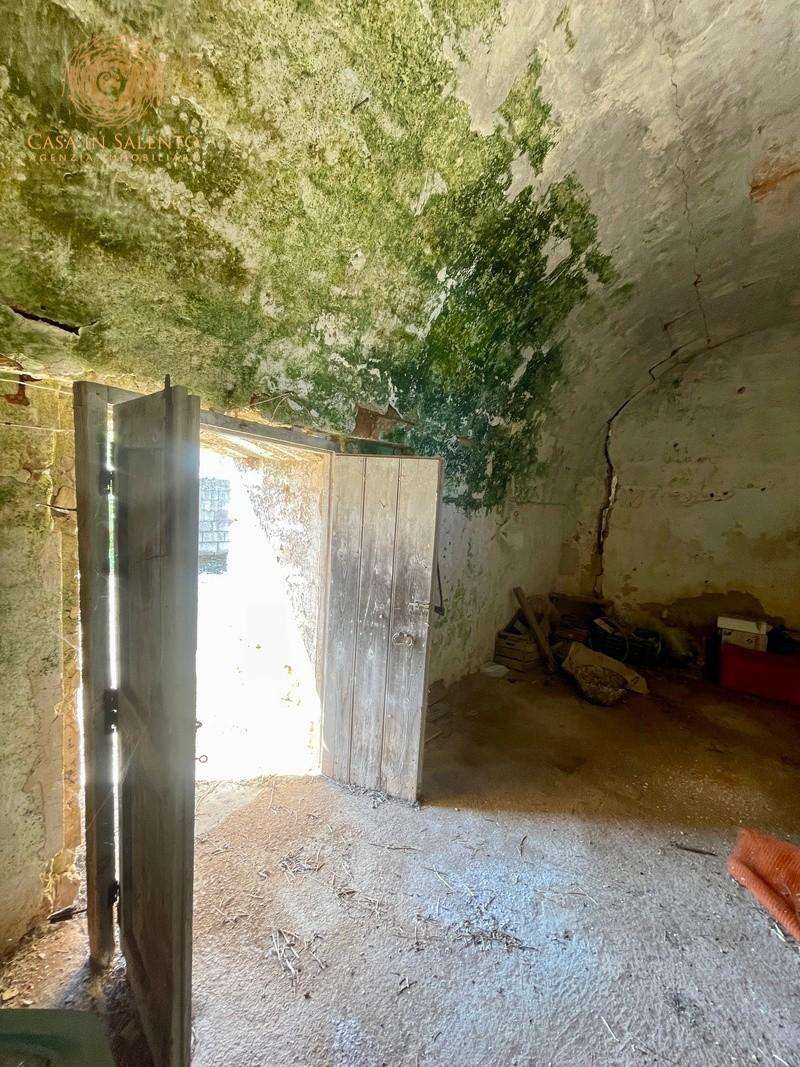  - foto 12