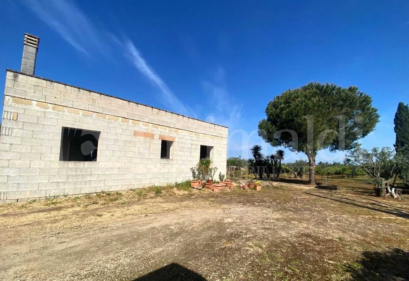  - foto 22