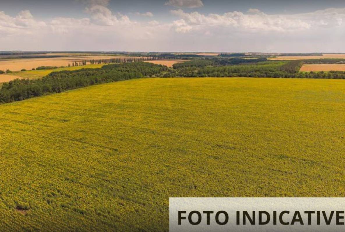  - foto 6