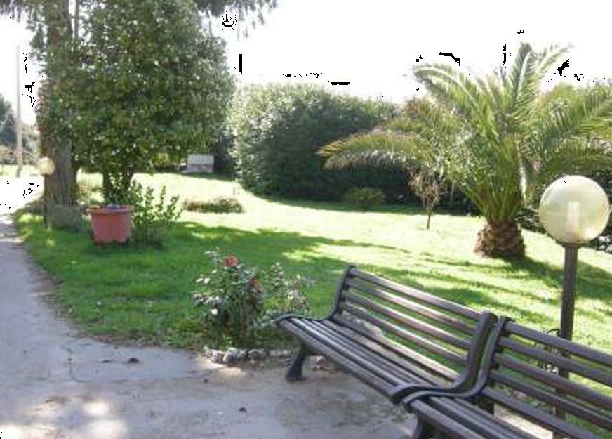  - foto 3