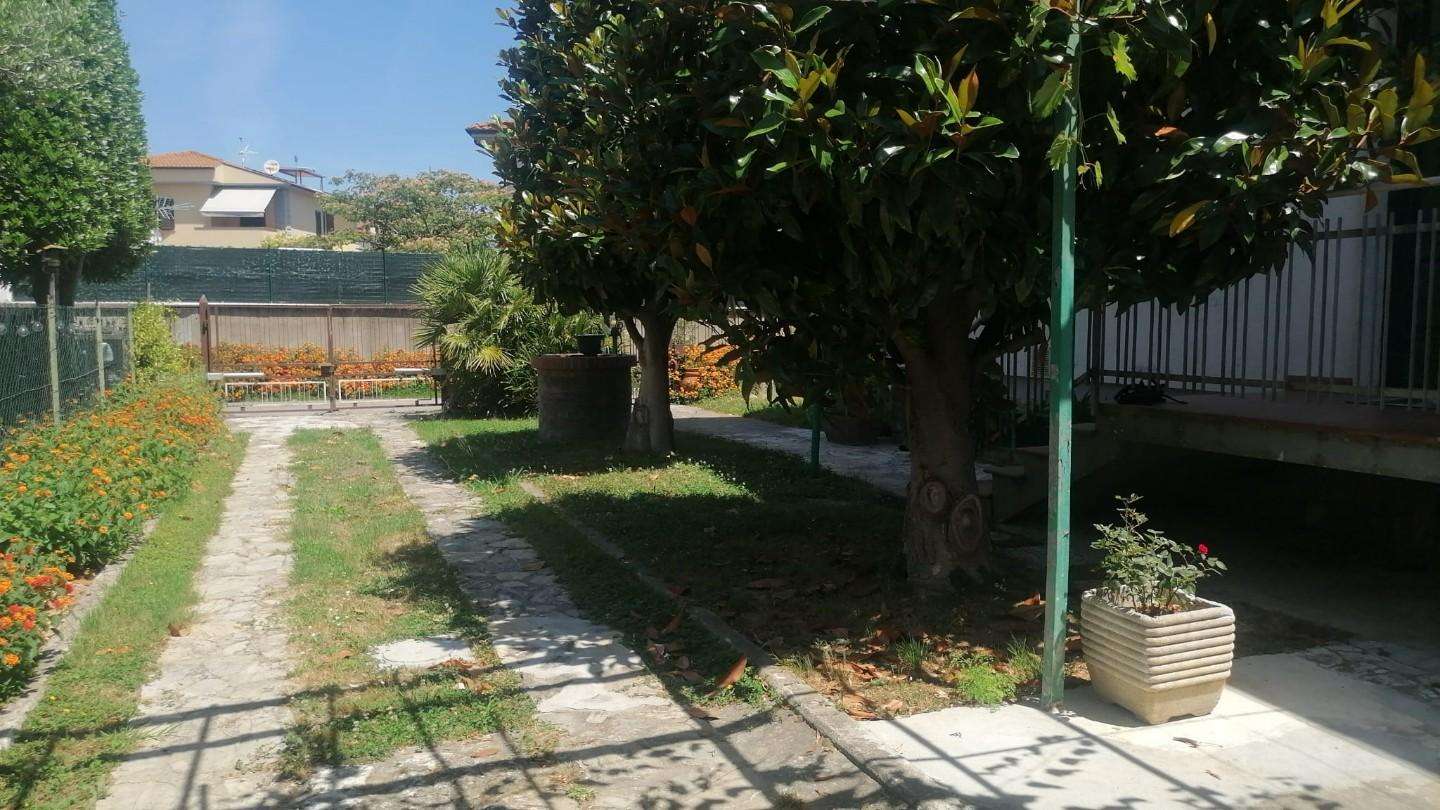 - foto 12