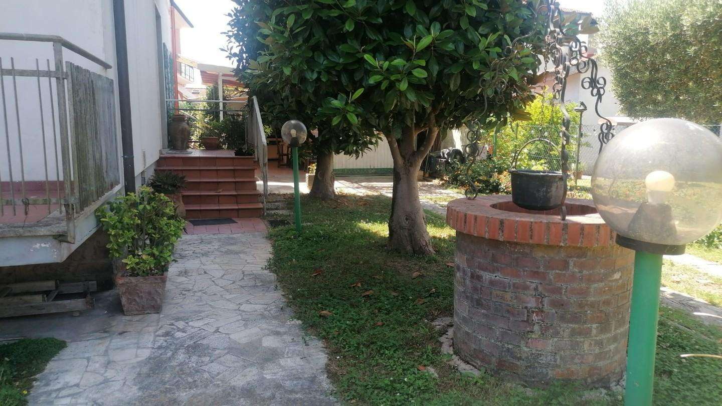  - foto 13
