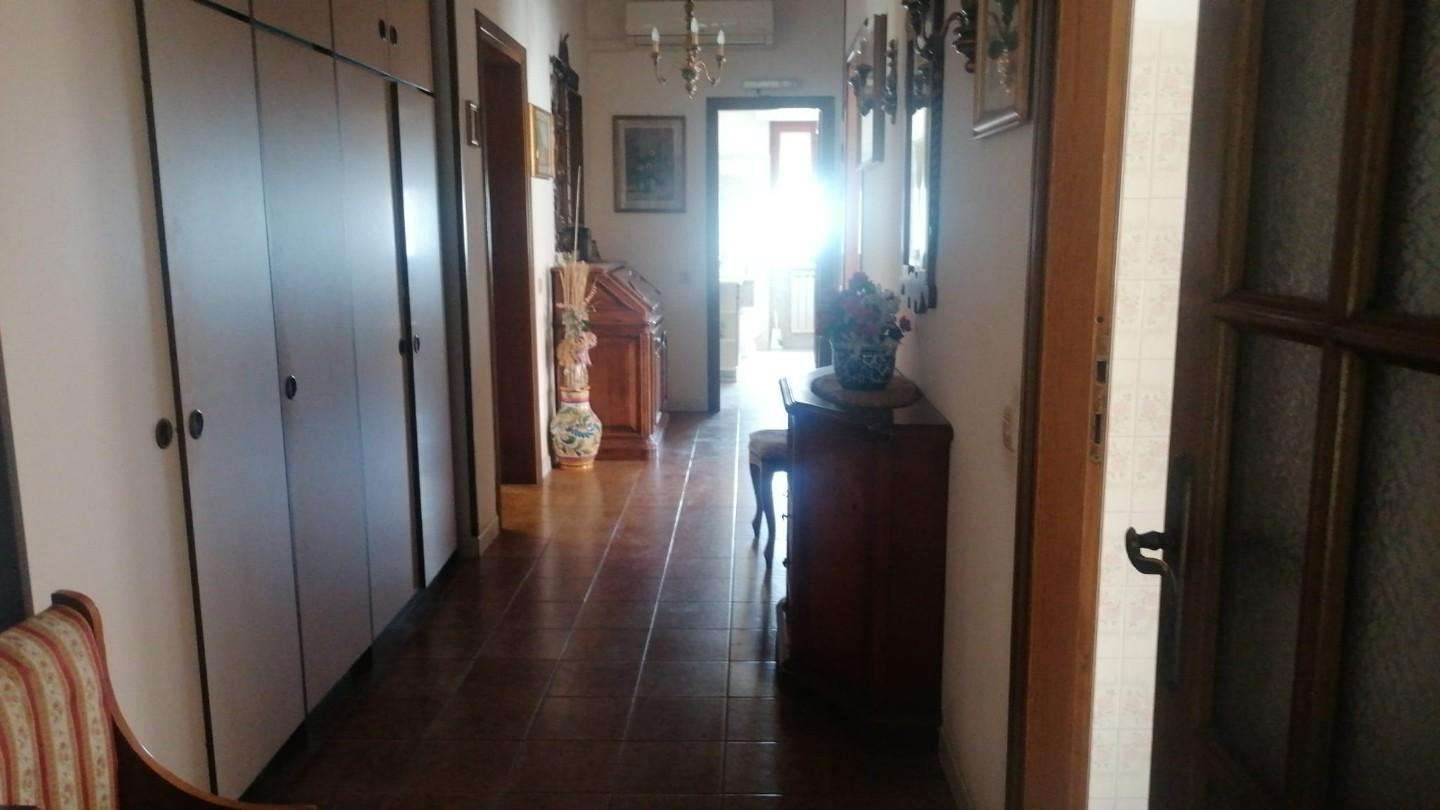  - foto 17