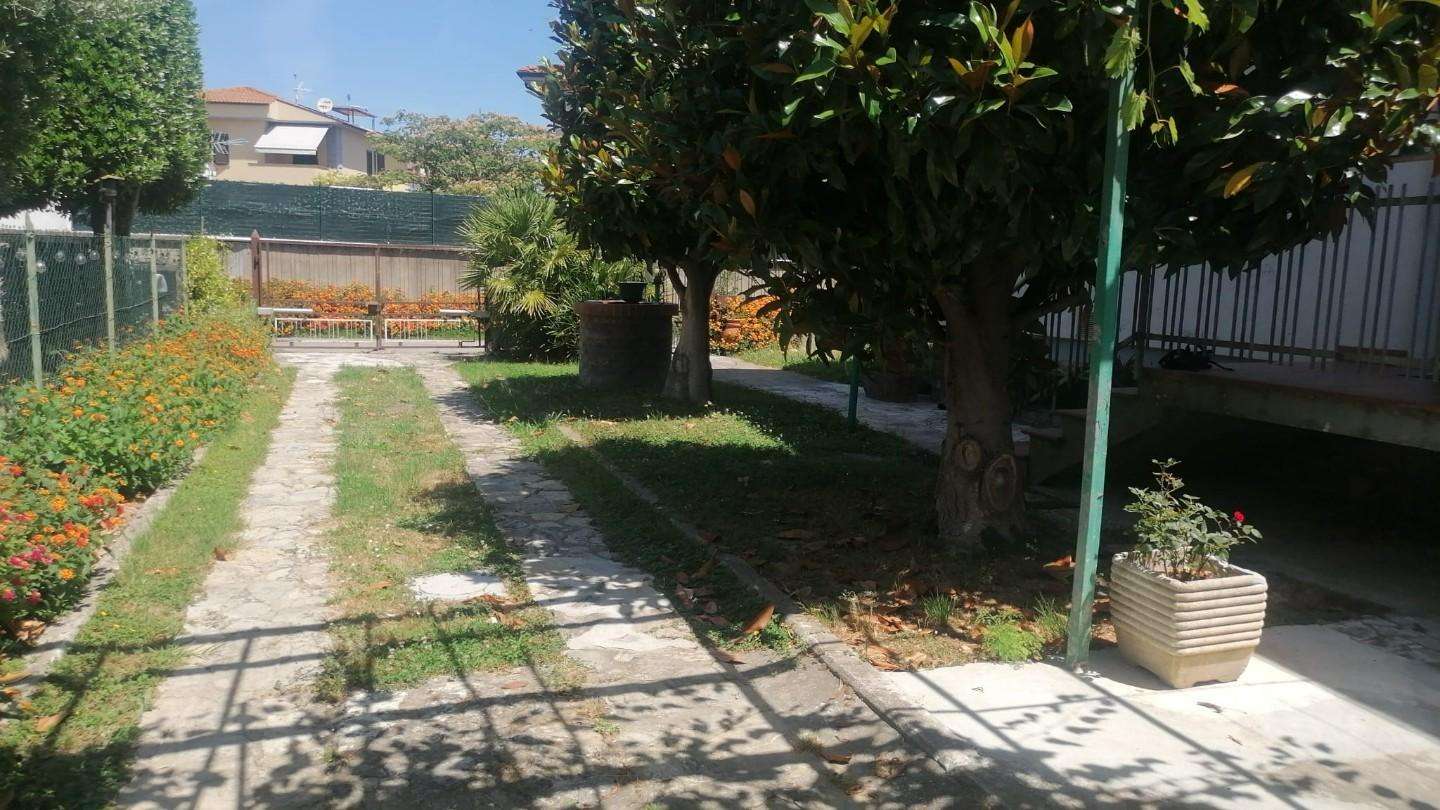  - foto 23