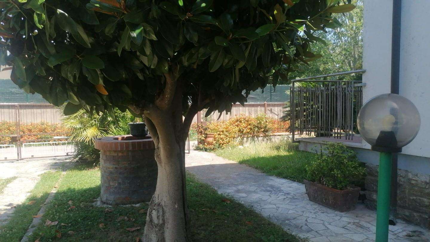 - foto 8