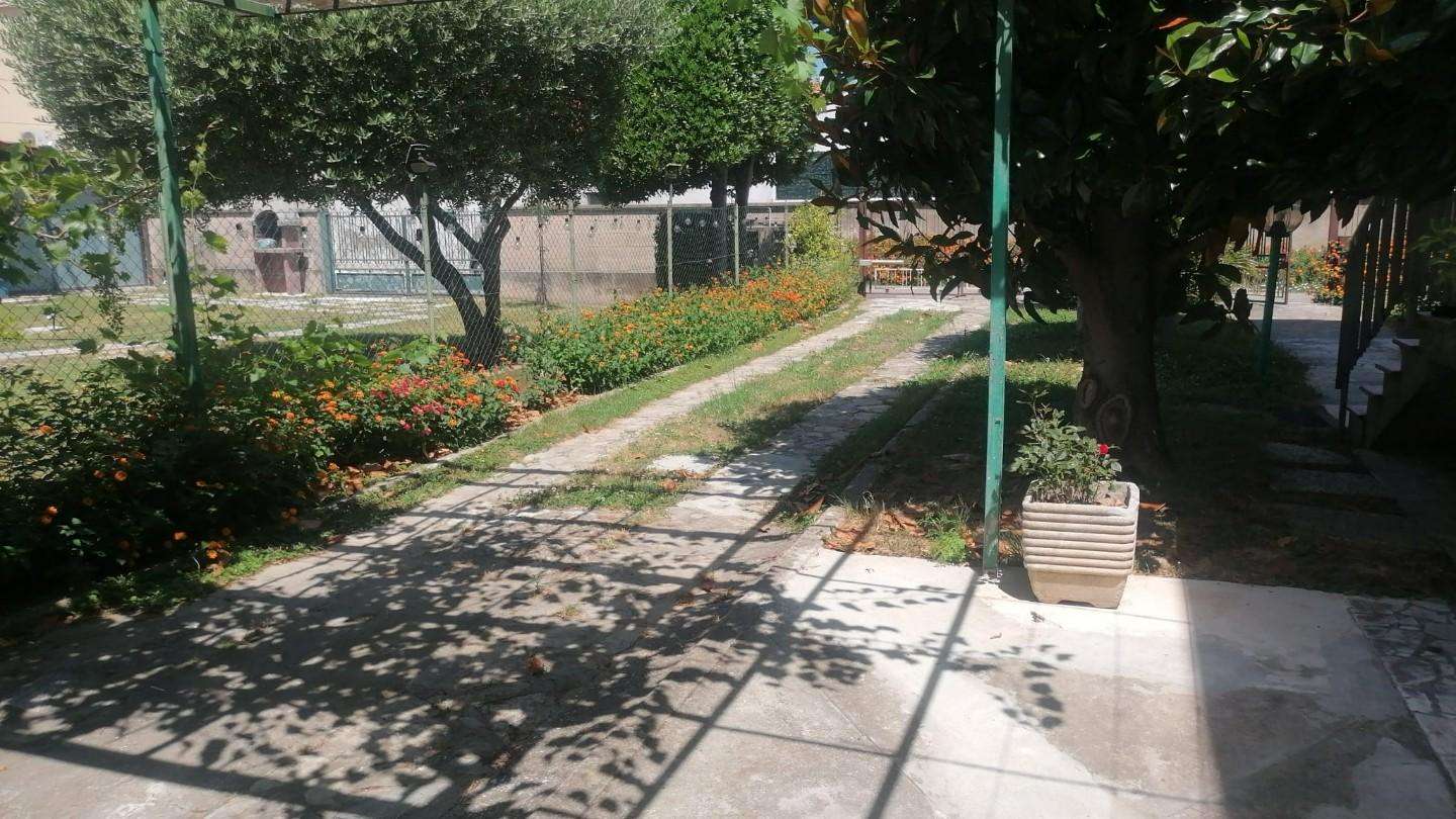  - foto 9