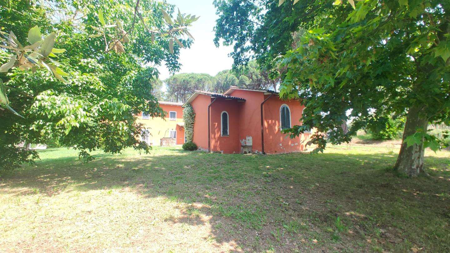  - foto 21