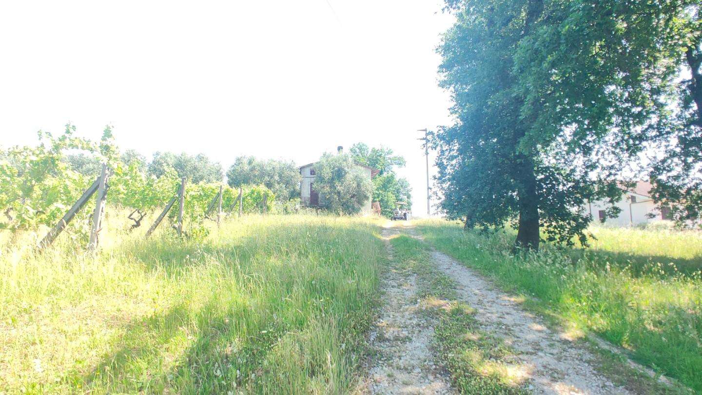  - foto 22