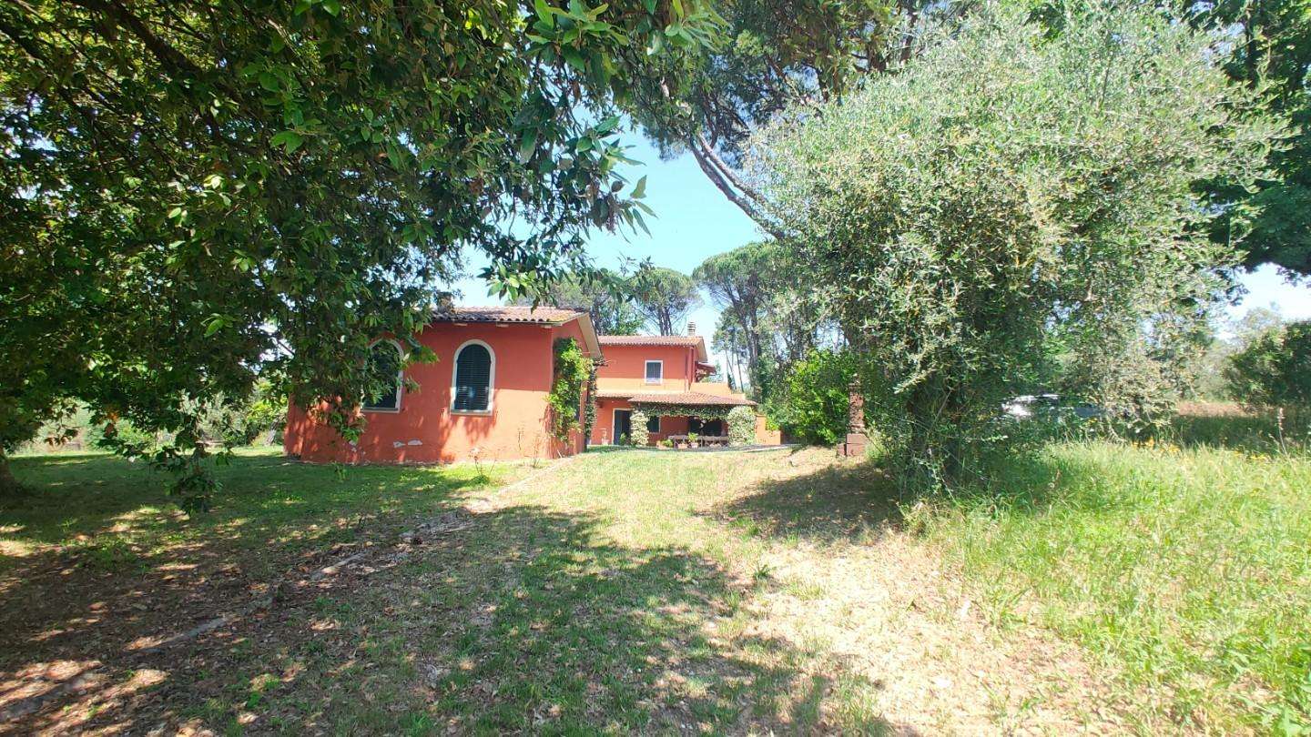  - foto 23