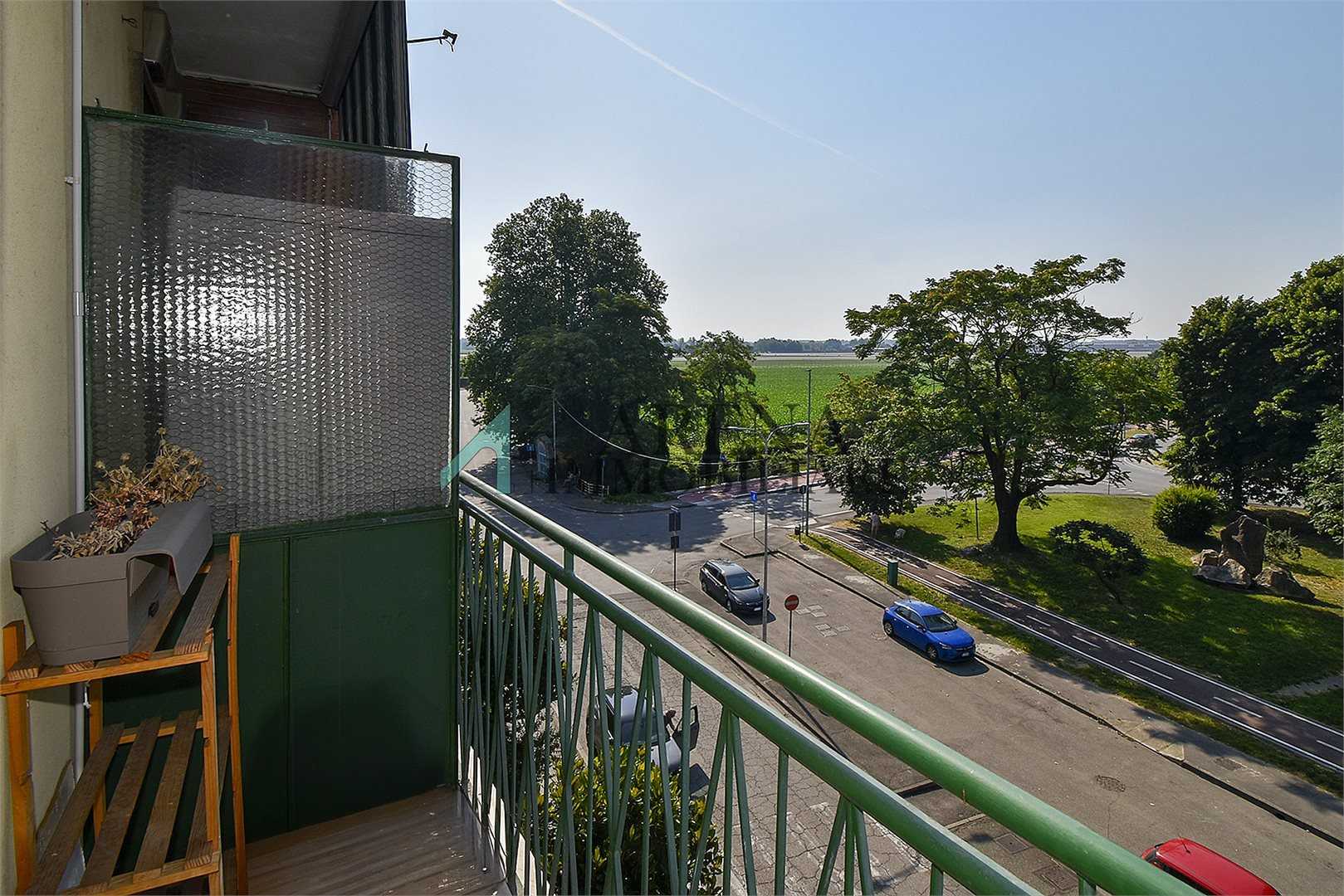  - foto 6