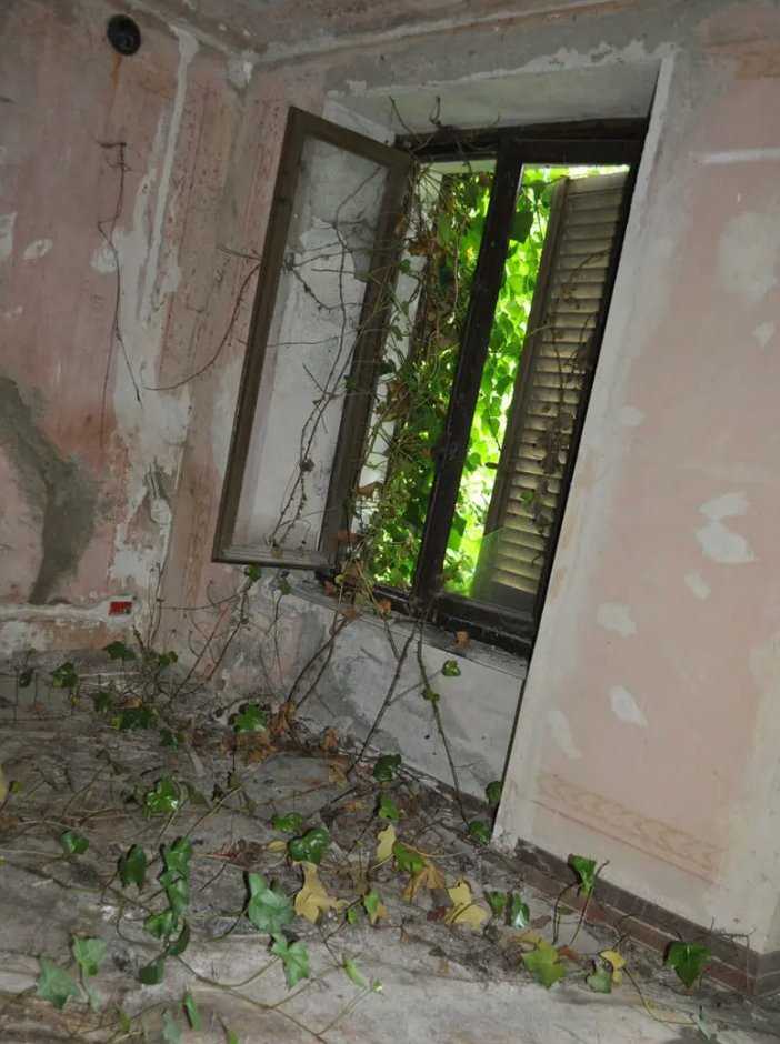  - foto 8