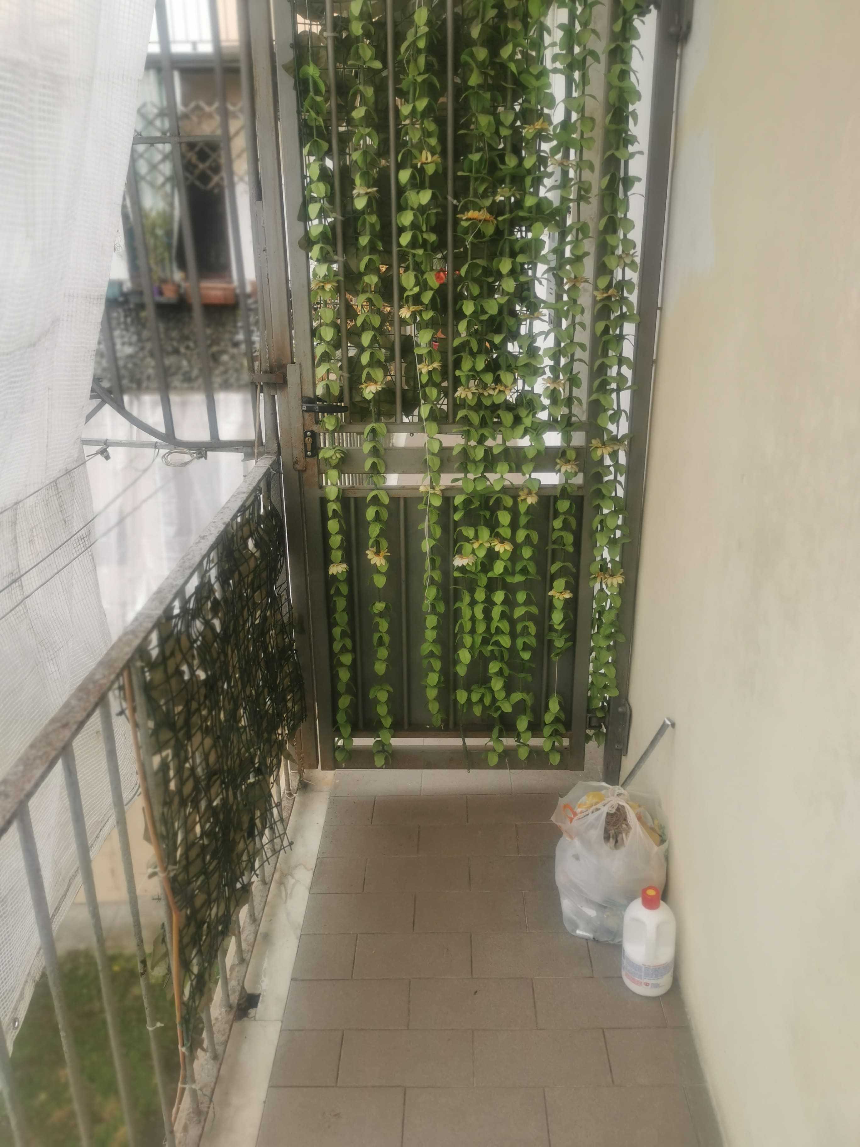  - foto 8