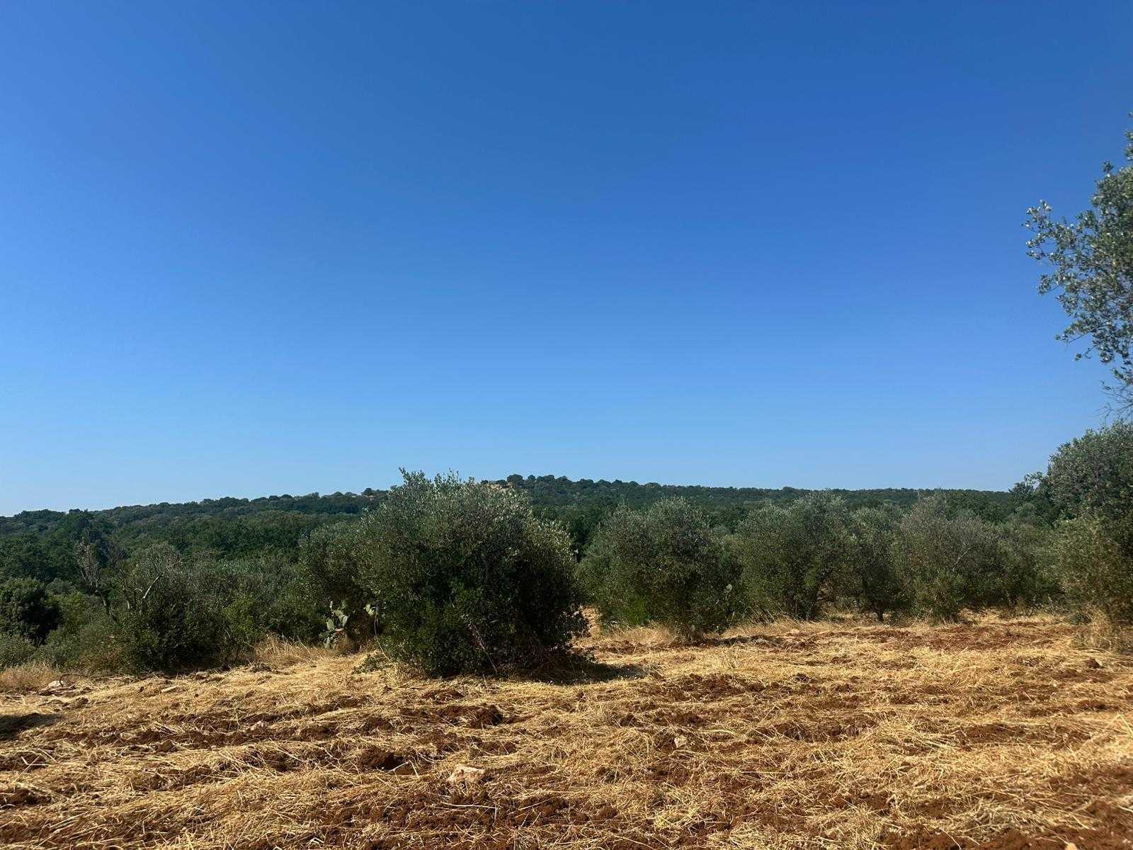  - foto 21