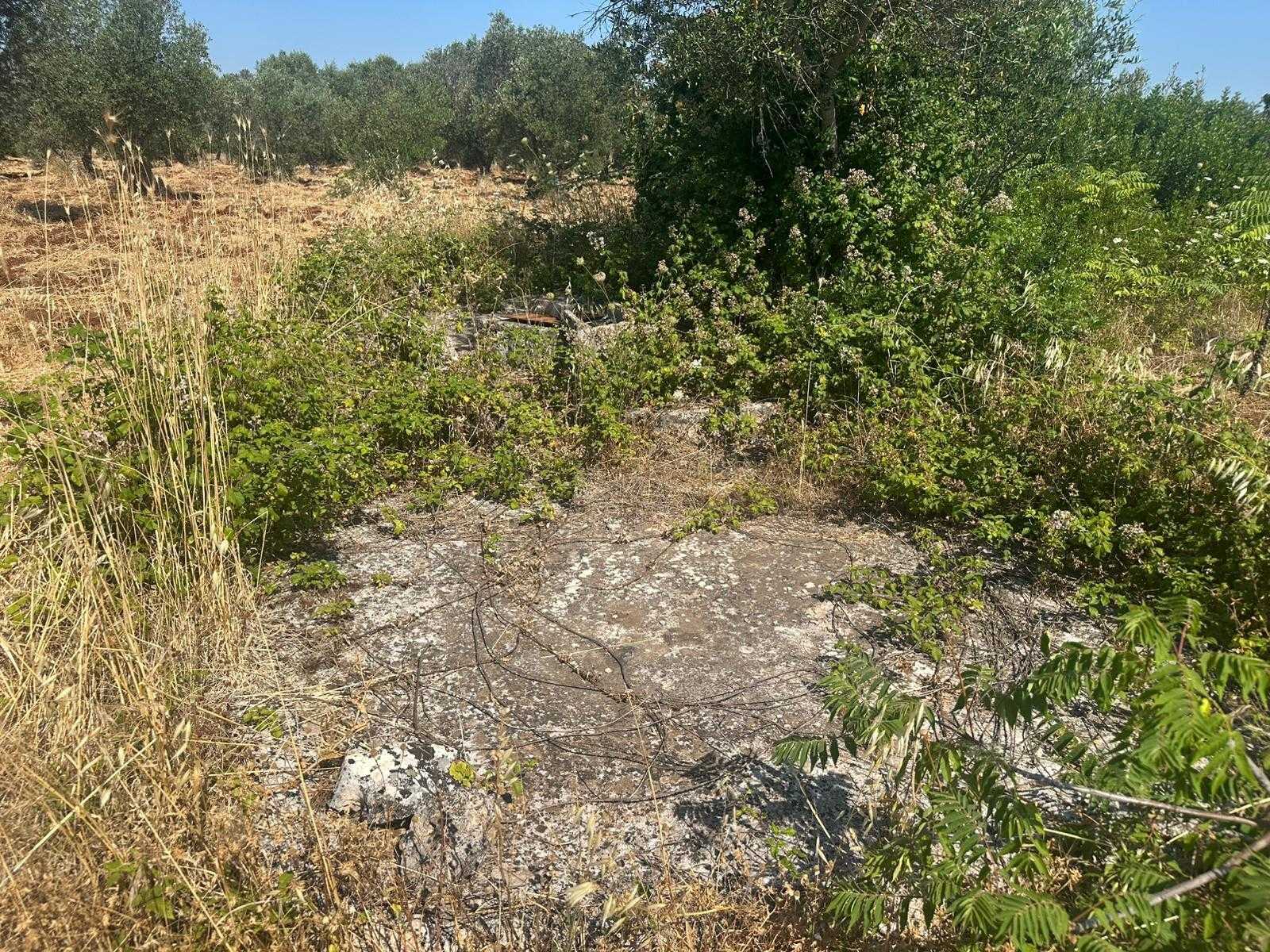  - foto 22