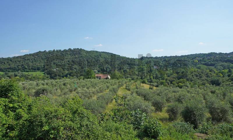  - foto 9