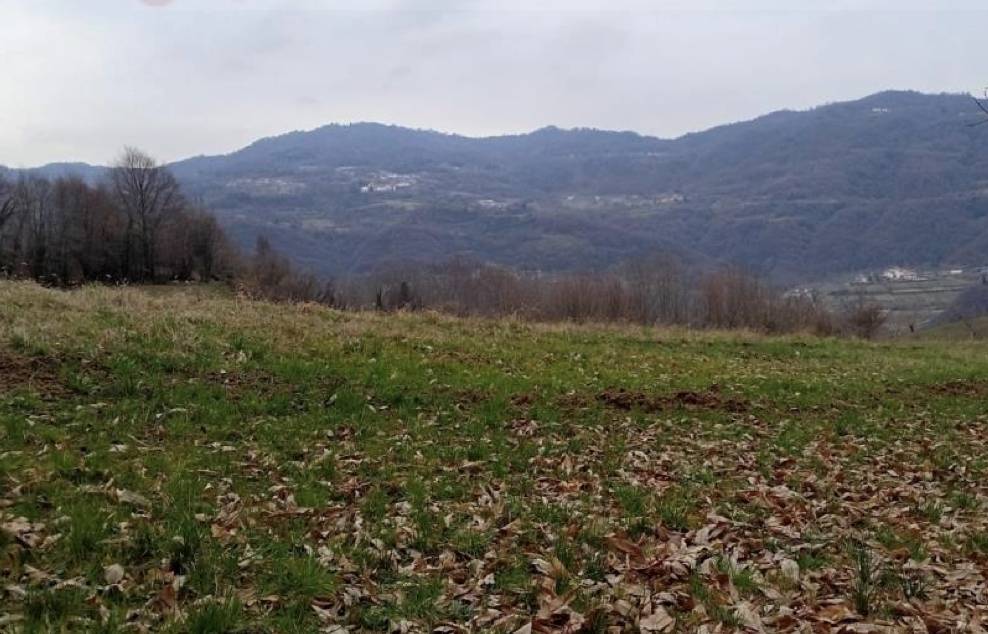  - foto 3