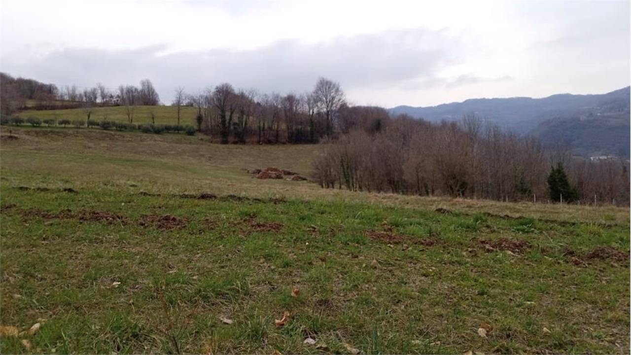  - foto 8