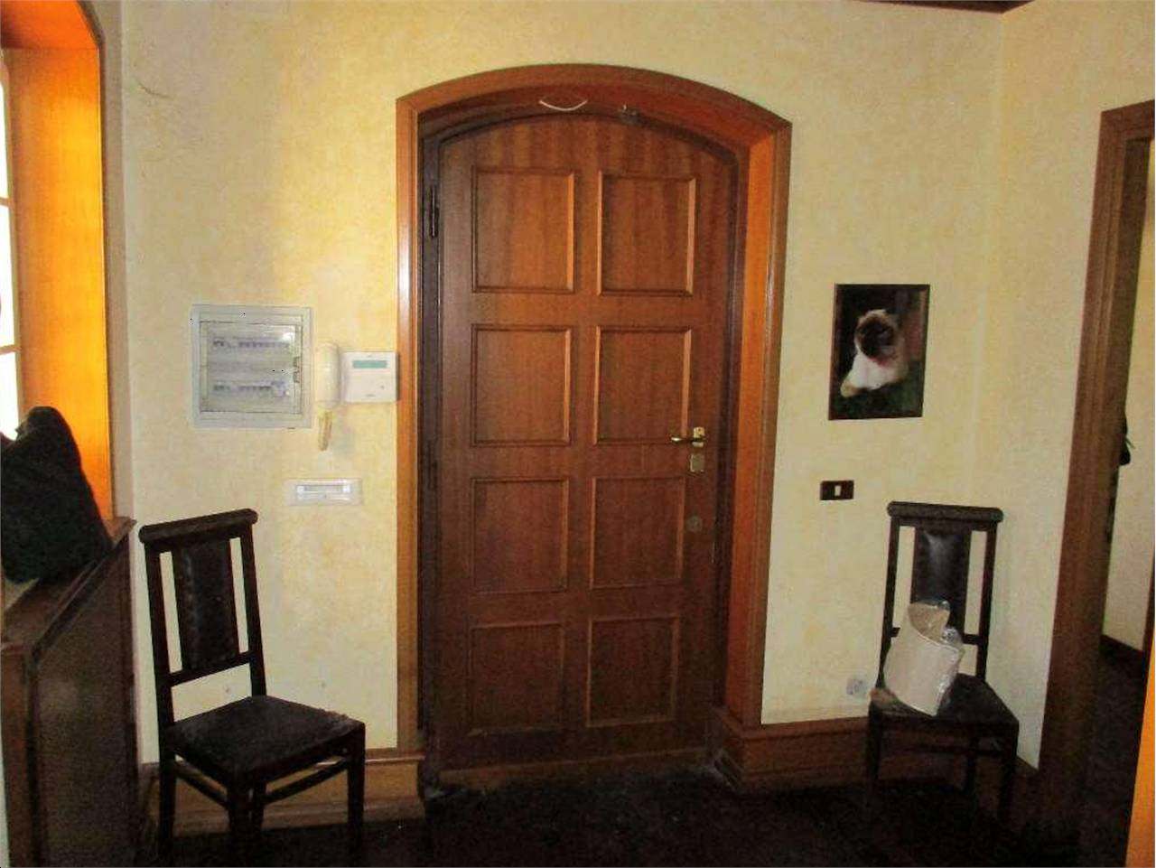  - foto 5