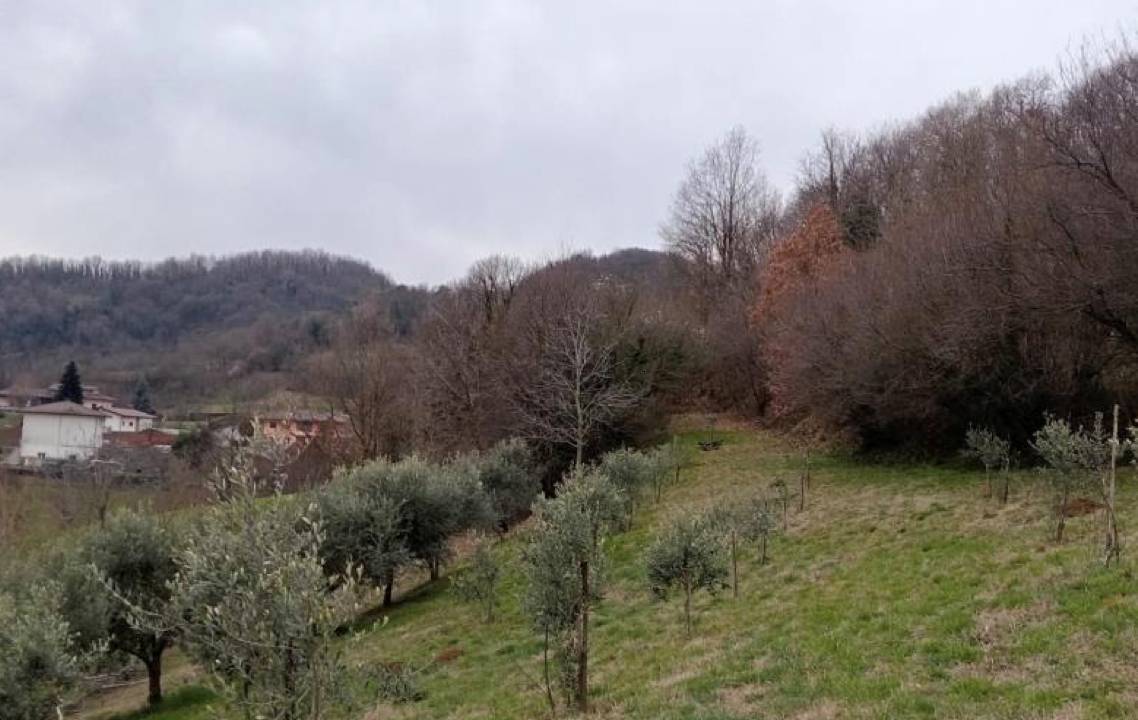 Terreno agricolo, Chiampo