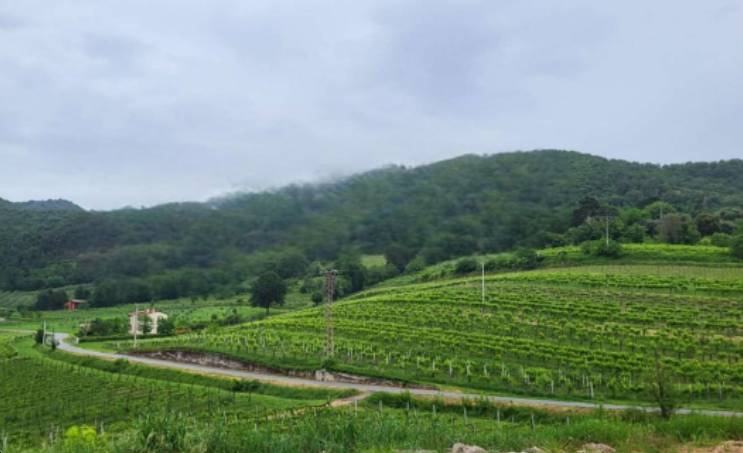 Terreno agricolo, Montegrotto Terme